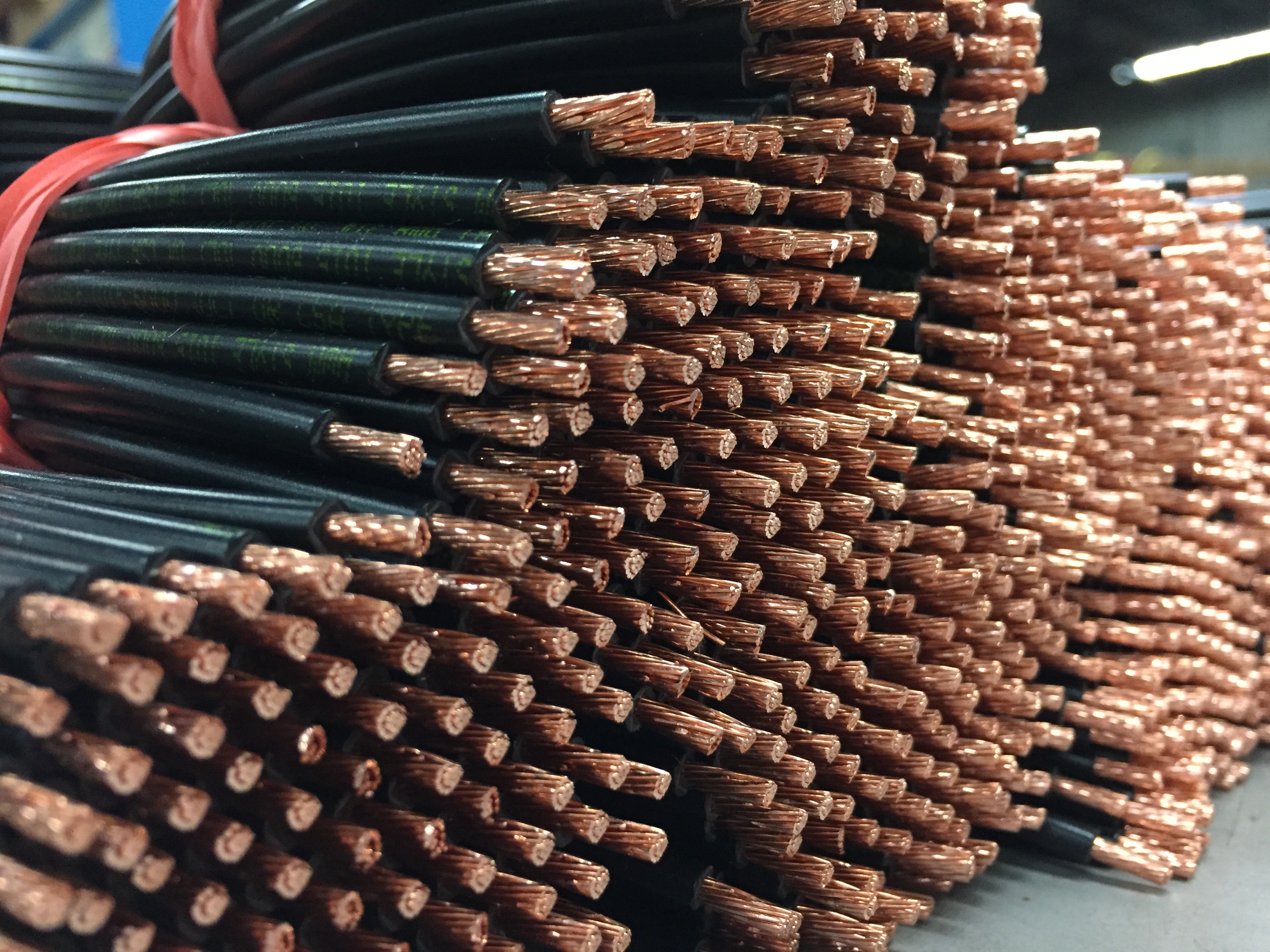 Pre Cut And Stripped Wire | Wire Cable Custom Cutting Stripping Services Cole Wire Pre Cut And Stripped Wire | Wire Cable Custom Cutting Stripping Services Cole Wire